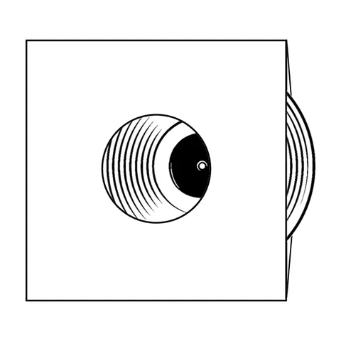 Inner Sleeves